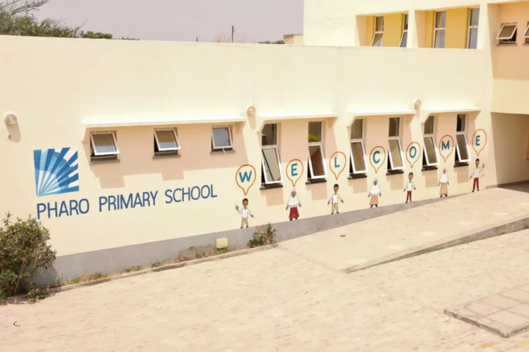 Welcome Pharo Primary.PNG